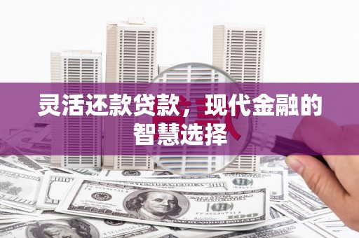 盐田灵活还款贷款，现代金融的智慧选择