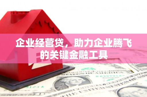 盐田企业经营贷，助力企业腾飞的关键金融工具