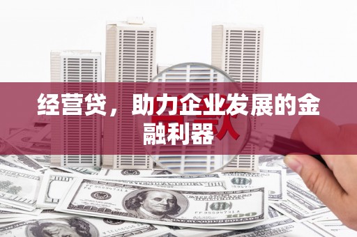 盐田经营贷，助力企业发展的金融利器