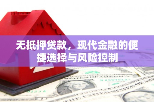 盐田无抵押贷款，现代金融的便捷选择与风险控制