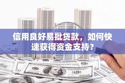 盐田信用良好易批贷款，如何快速获得资金支持？