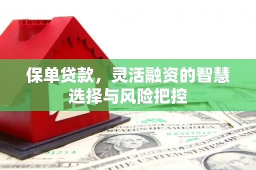 盐田保单贷款，灵活融资的智慧选择与风险把控