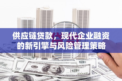 盐田供应链贷款，现代企业融资的新引擎与风险管理策略
