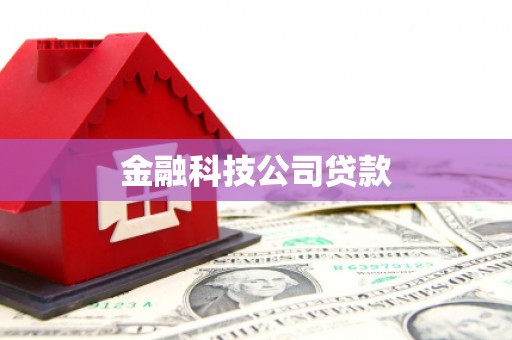 盐田金融科技公司贷款