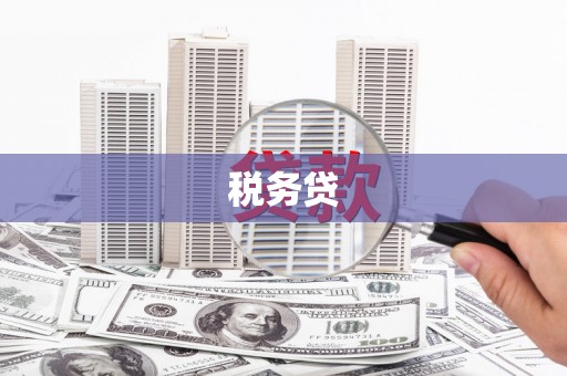 盐田税务贷
