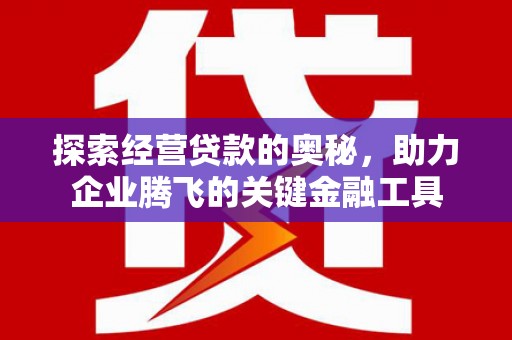 盐田探索经营贷款的奥秘，助力企业腾飞的关键金融工具