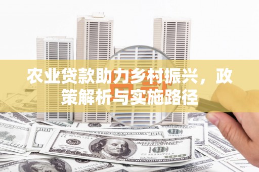 盐田农业贷款助力乡村振兴，政策解析与实施路径