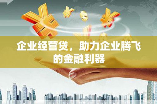 盐田企业经营贷，助力企业腾飞的金融利器