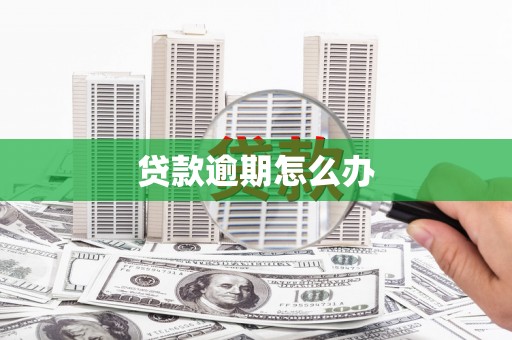 盐田贷款逾期怎么办