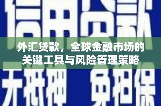 盐田外汇贷款，全球金融市场的关键工具与风险管理策略