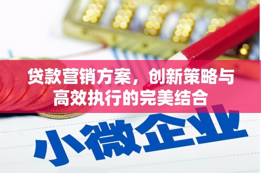 盐田贷款营销方案，创新策略与高效执行的完美结合