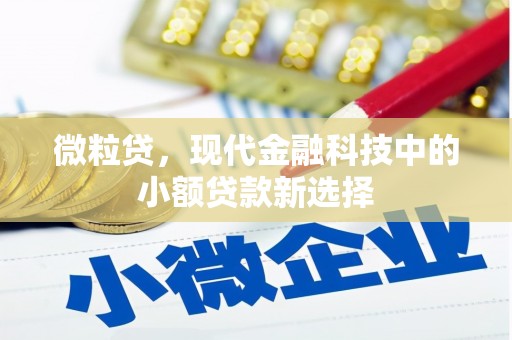 盐田微粒贷，现代金融科技中的小额贷款新选择