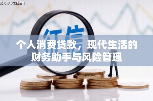 盐田个人消费贷款，现代生活的财务助手与风险管理