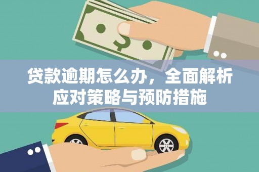 盐田贷款逾期怎么办，全面解析应对策略与预防措施