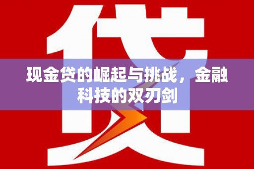 盐田现金贷的崛起与挑战，金融科技的双刃剑