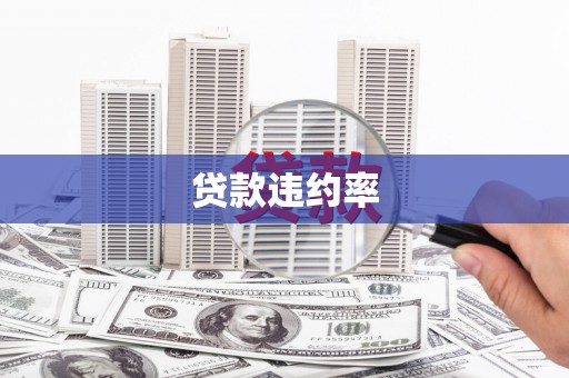 盐田贷款违约率