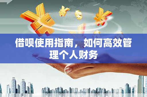 盐田借呗使用指南，如何高效管理个人财务