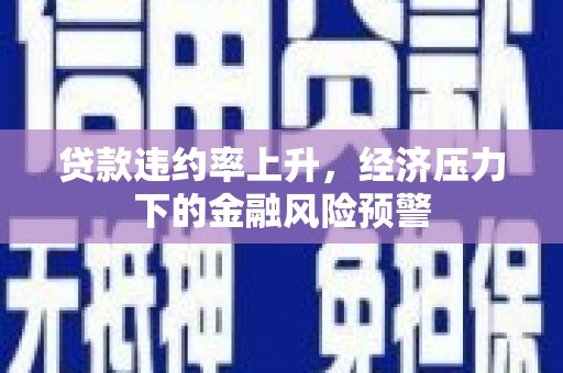 盐田贷款违约率上升，经济压力下的金融风险预警