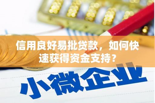 盐田信用良好易批贷款，如何快速获得资金支持？