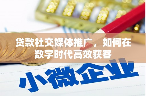 盐田贷款社交媒体推广，如何在数字时代高效获客