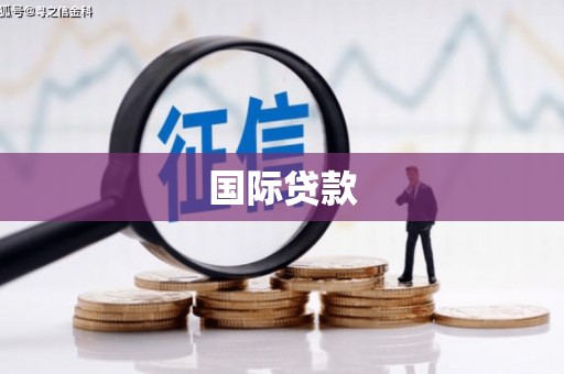 盐田国际贷款
