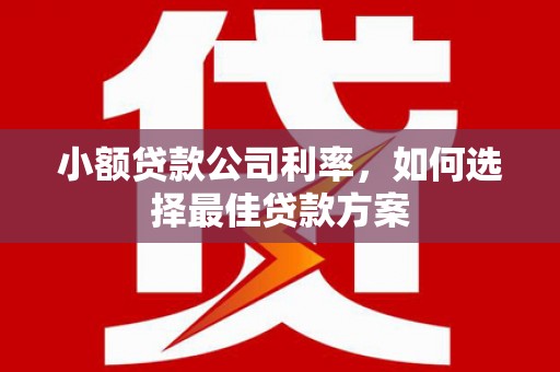 盐田小额贷款公司利率，如何选择最佳贷款方案