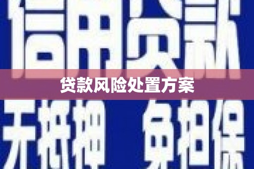 盐田贷款风险处置方案