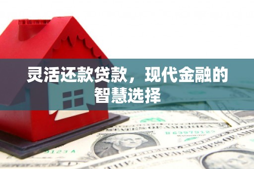 盐田灵活还款贷款，现代金融的智慧选择