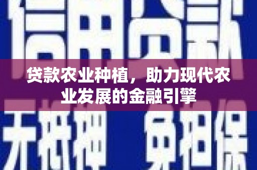 盐田贷款农业种植，助力现代农业发展的金融引擎