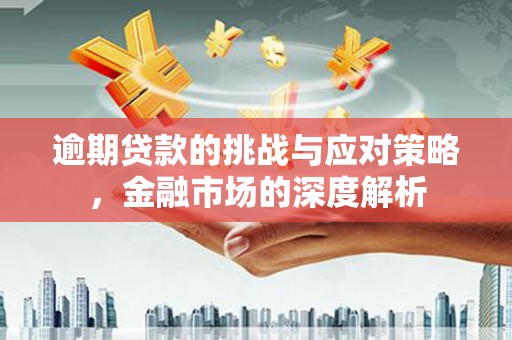 盐田逾期贷款的挑战与应对策略，金融市场的深度解析