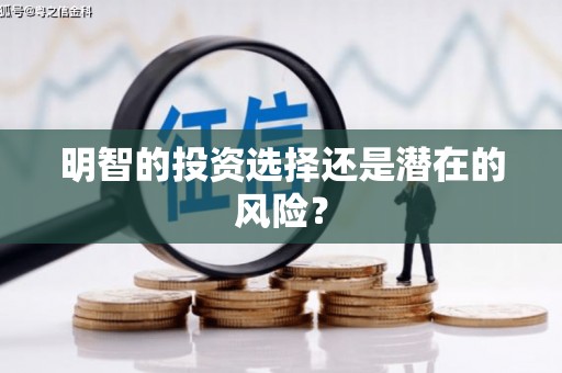 盐田明智的投资选择还是潜在的风险？