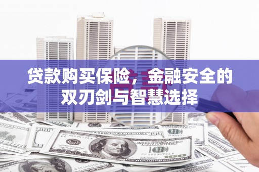 盐田贷款购买保险，金融安全的双刃剑与智慧选择