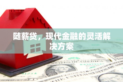 盐田随薪贷，现代金融的灵活解决方案
