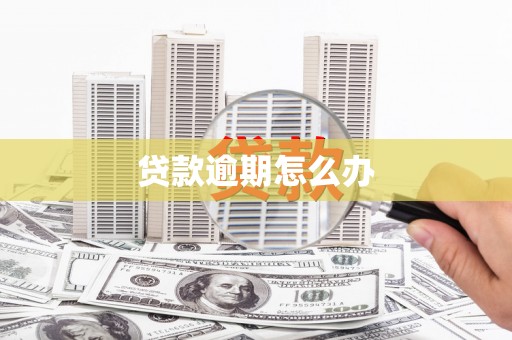 盐田贷款逾期怎么办
