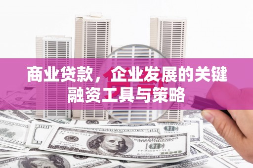 盐田商业贷款，企业发展的关键融资工具与策略