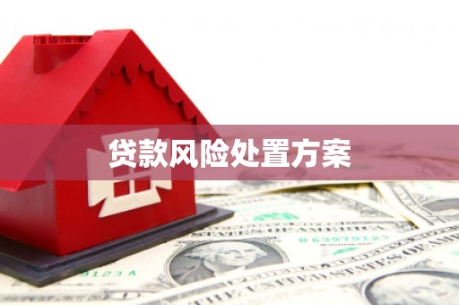 盐田贷款风险处置方案