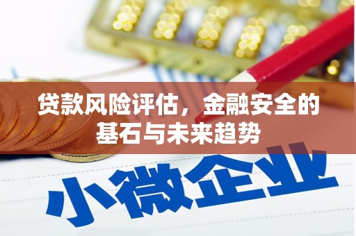 盐田贷款风险评估，金融安全的基石与未来趋势