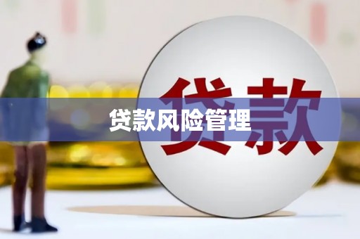 盐田贷款风险管理