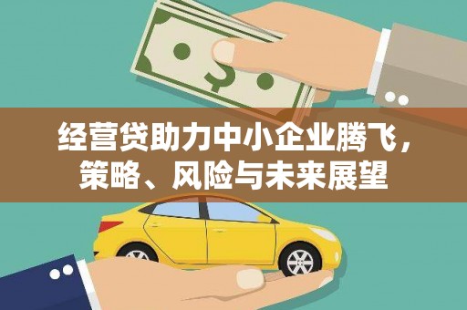 盐田经营贷助力中小企业腾飞，策略、风险与未来展望