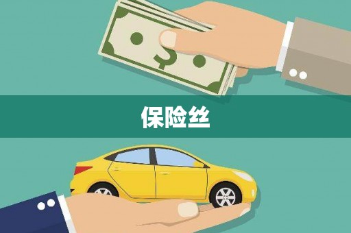 盐田保险丝