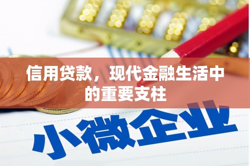 盐田信用贷款，现代金融生活中的重要支柱