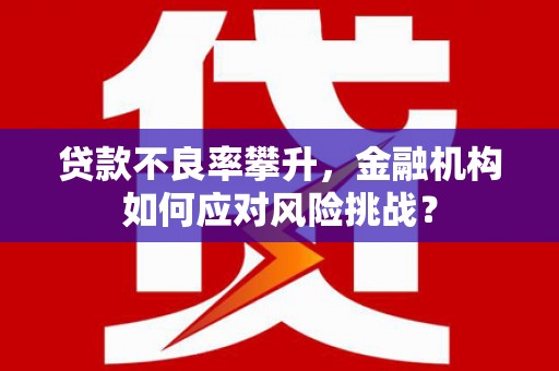 盐田贷款不良率攀升，金融机构如何应对风险挑战？