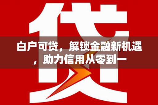 盐田白户可贷，解锁金融新机遇，助力信用从零到一