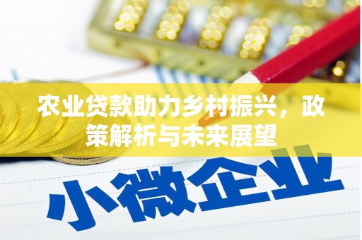 盐田农业贷款助力乡村振兴，政策解析与未来展望