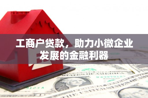 盐田工商户贷款，助力小微企业发展的金融利器