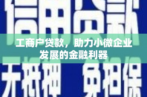 盐田工商户贷款，助力小微企业发展的金融利器
