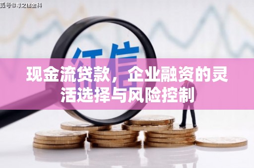 盐田现金流贷款，企业融资的灵活选择与风险控制