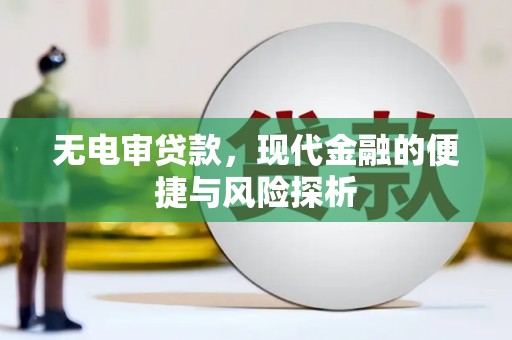 盐田无电审贷款，现代金融的便捷与风险探析