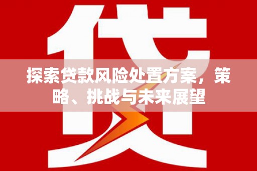 盐田探索贷款风险处置方案，策略、挑战与未来展望