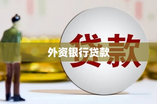 盐田外资银行贷款